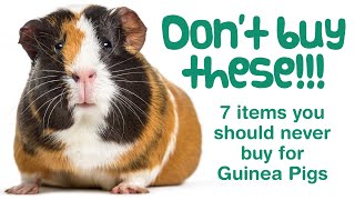 Things You SHOULDN'T BUY Your GUINEA PIGS | DANGEROUS UNSAFE & BAD Items for Piggies | PLEASE WATCH!