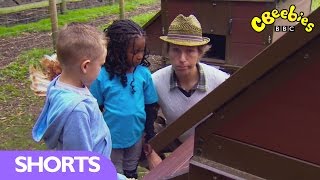 CBeebies: Collecting Eggs on Down to Earth Farm - Mr Bloom Here and There