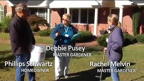 Understanding Soil Compaction and Its Effects