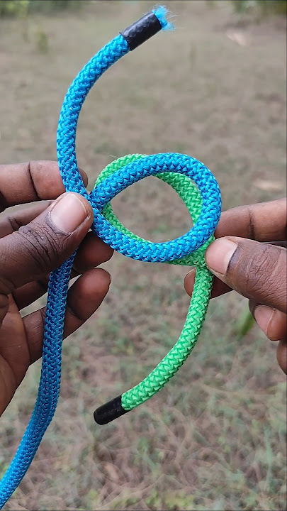 everyone commonly used this knot