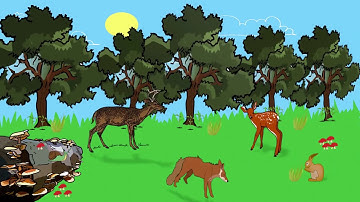 Ecology Interspecific and Intraspecific Interactions | Ecology&Environment |  FuseSchool | Infozilla