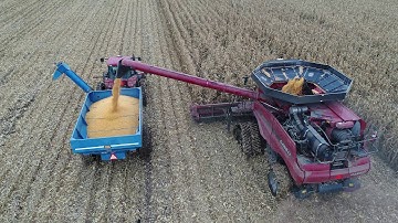 Zuidberg Combine Tracks - Unloading Corn