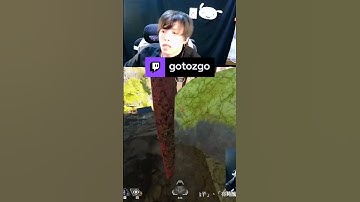 一打二 | gotozgo，类别：#Twitch