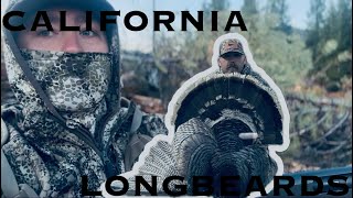 California public land Longbeards ! 