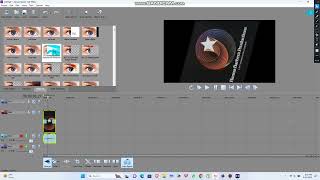 How to make Zoopals Effect V81