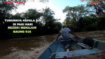 TAHAN TAJUR IKAN BAUNG 916‼️KEPALA AIR TURUN PAGI (EP 20)