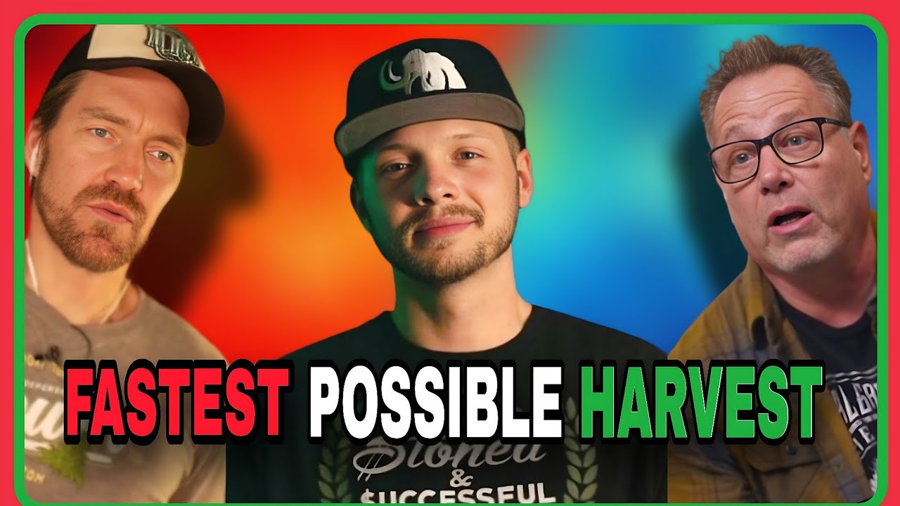 The Fastest Way to Harvest: Proven Grower Tips w/ CLTV Rob