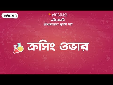 ভিডিও: মিয়োসিসের কোন পর্যায়ে ক্রসিং ওভার ঘটে?