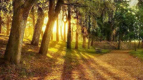 أواخر سورة النحل -جمال الدين خير - (صلاة المغرب 30 جمادى الأول 1441/فيفري2020)