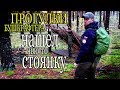 Прогулки бушкрафтера. Черника. Нашёл чей-то лагерь. bushcraft walks.blueberry