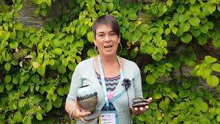 Breakthrough Stories: Rebecca Walklett Art