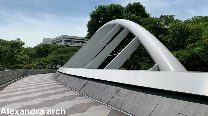 Hiking from Alexandra Arch to Henderson Waves!