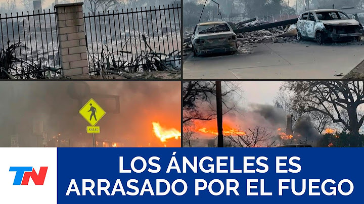 CALIFORNIA I Comunidades enteras fueron arrasadas por el incendio forestal que destruye Los Ángeles