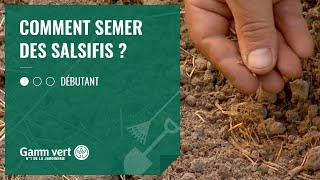 [TUTO] Comment semer des salsifis ? - Jardinerie Gamm vert
