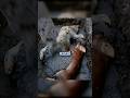 📡🛑 Can Radar Find a Body Hidden in Cement?