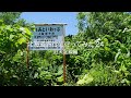 北海道旅行に行ってみた '24 旧天北線編