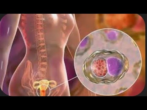 5 علامات في عنق الرحم تأكد وجود حمل بعد فترة التبويض