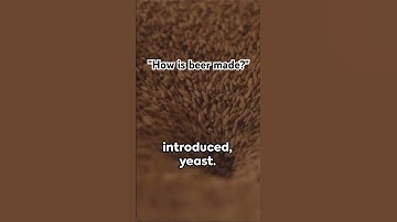 "How is beer made?"