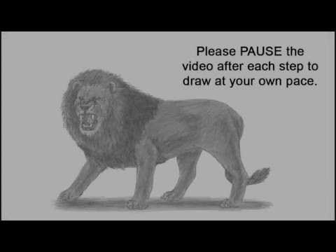 Как рисовать рычащего льва/ How to Draw a Lion Roaring