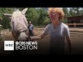 Norton farm rescues two blind horses from slaughter