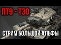 T30. Аккуратный Альфач на выгуле | WoT