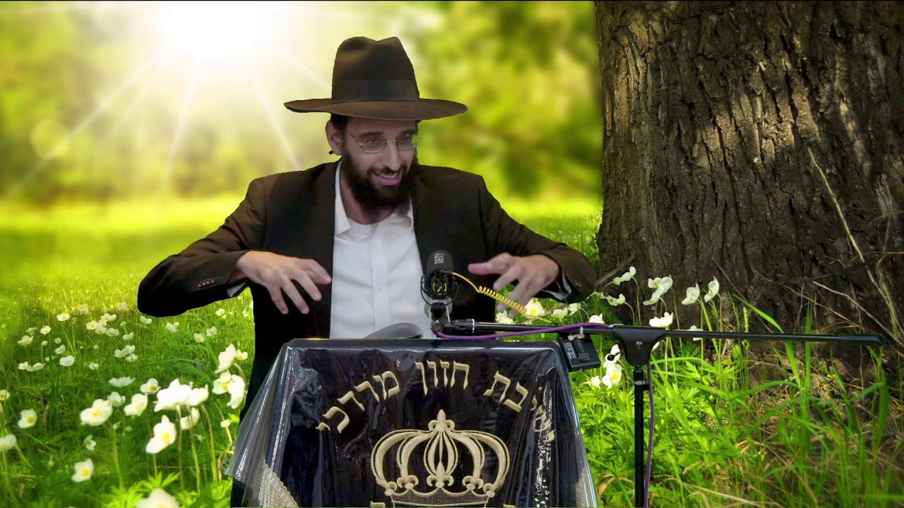 הרב מאיר דוד שמואלי -  אין לך יפה כצניעות!