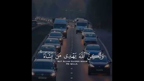 سورة القصص الاية 56 | صوت القارئ ماهر المعيقلي | مقاطع انستقرام