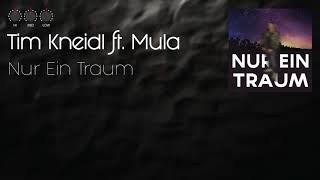 Tim Kneidl ft. Mula - Nur ein Traum