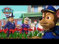 A ritka csirketulipn keresse s mg sok ms  mancs rjrat  paw patrol epizd magyar