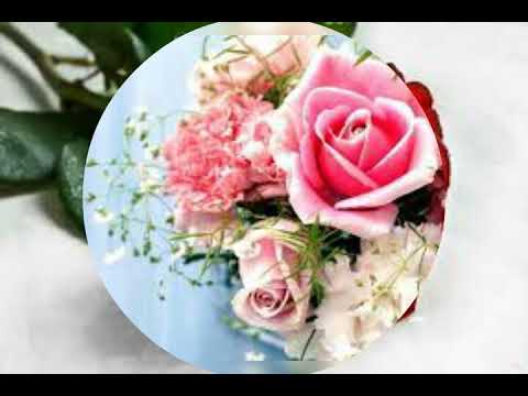 مجموعة بدر