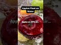 Why Apples Float on Water 🍏
