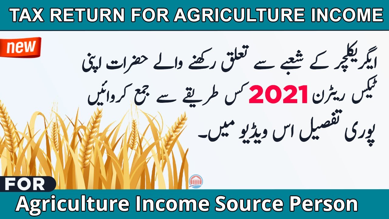 How To File Agriculture Income Tax Return 2021 Tax Return For 