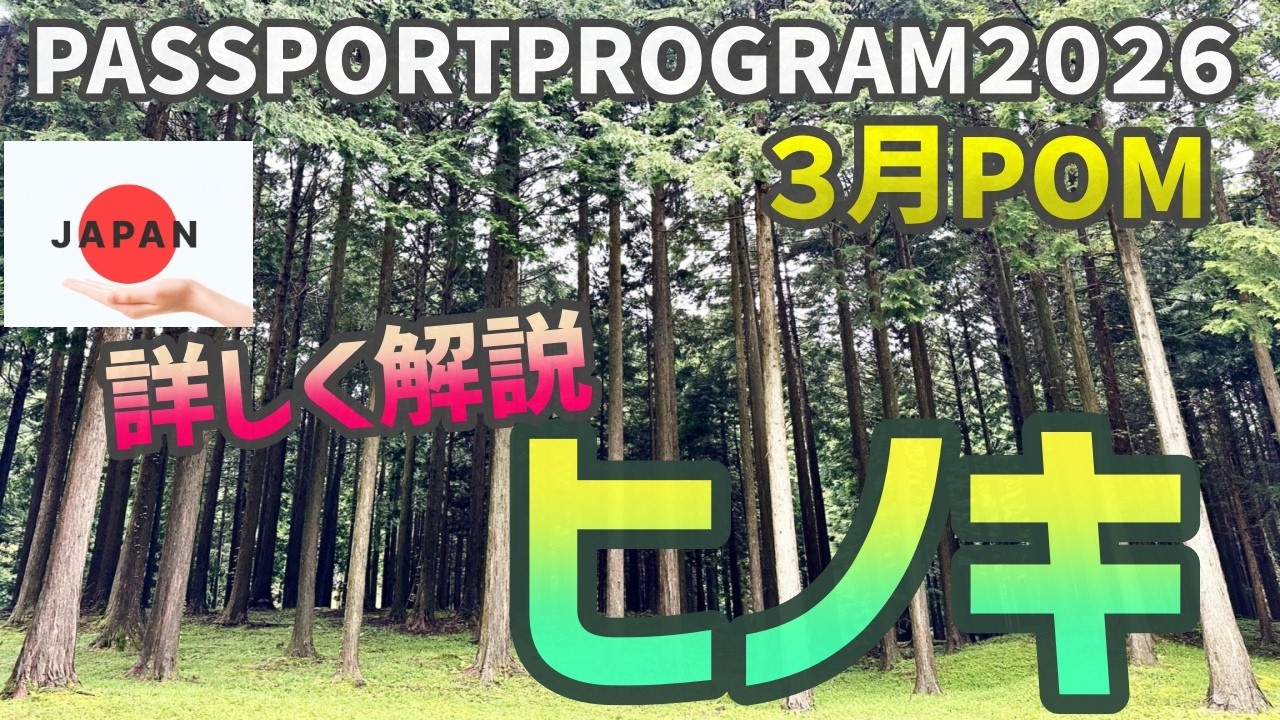 【ドテラ】PASSPORTPROGRAM２０２６３月POM”ヒノキ”の紹介とヒノキのオイルを使った深呼吸スプレーを作りました
