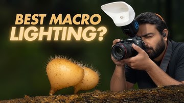 Macro Photography Lighting Explained | Flash, Diffusers and Backlight
