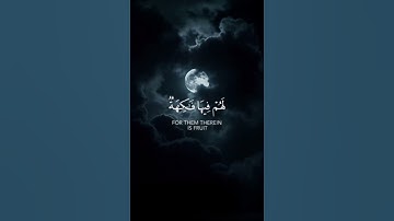 سورة يس #اكسبلور #المصحف