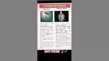 Types of Root #scienceshort #basicknowledge #mustknowfacts #biology #sciencefacts #roots