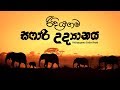 Ridiyagma Safari Park "රිදියගම සෆාරි උද්‍යානය" - Infinity Sri Lanka