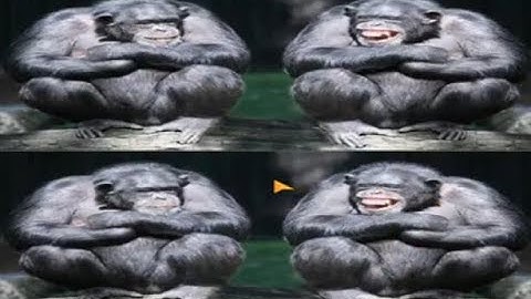 Find the differences 500 levels #16 - Level 301-320