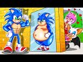 Fat Sonic Weight Loss &amp; Love Story - Sonic The Hedgehog 2 Animation - Sonic Life Stories