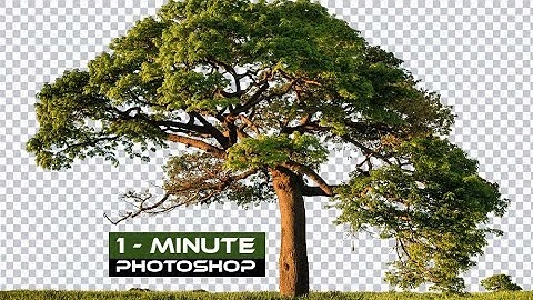 1-Minute Photoshop | How to Cut Out Tree in Photoshop
