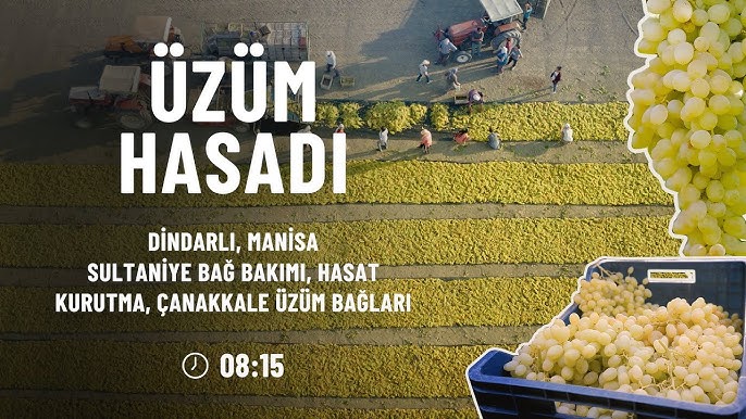 Hayvonlar jinsiy aloqa video Rus qishloq porno onlayn tomosha qiling