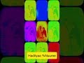 Artist Caalaa Abdurahaman New Ethiopia Music 2026 28pm 