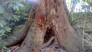 WP 20131102 048