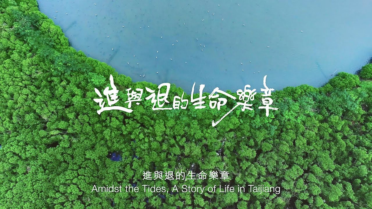 【台江】進與退的生命樂章（Amidst the Tides,A Story of Life in Taijiang）：台江濕地生態影片中文完整版
