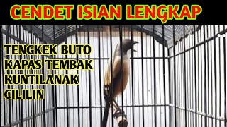 CENDET GACOR ISIAN LENGKAP Kuntilanak Cililin Tengkek Buto Dan Kapas Tembak