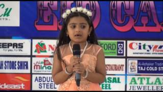 Eid Carnival 2017