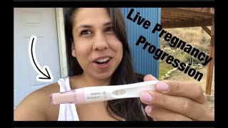 Live Pregnancy Test Progression