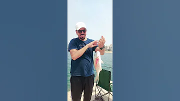 قرقفان بسنان بتاع زمان Fishing صيد بحر سمك اكسبلور Fish لايك فولو ترند 