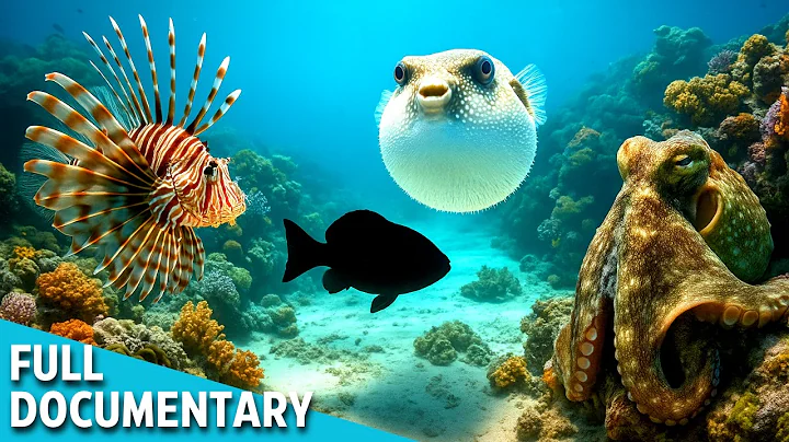 WILD DEPTHS | Bizarre Warriors of the Ocean World