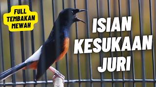 MURAI BATU GACOR FULL ISIAN TEMBAKAN MEWAH ISIAN JELAS DAN MUDAH DI TIRU BURUNG MURAI BATU
